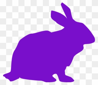 Rabbit Icon Purple - Domestic Rabbit Clipart