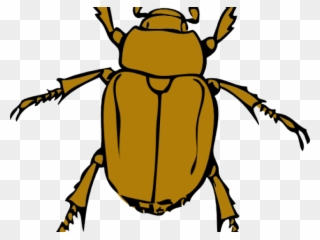 Insects Cliparts - Clipart Beetle - Png Download