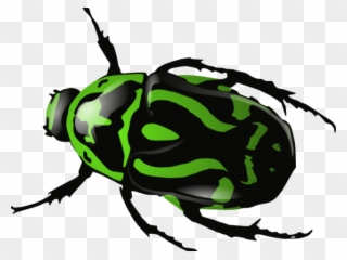 Dead Insects Cliparts - Beetle Clip Art - Png Download