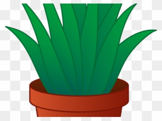Pot Plant Clipart Pot Clip Art - Aloe Vera Plant Clipart - Png Download