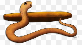 Barbados Threadsnake ” This Week's Star Of Seldom Seen - Barbados Threadsnake Clipart