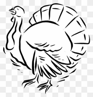 Turkey Coloring Page - Turkey Clipart