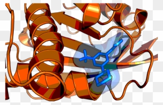 Step Structure And Allosteric Binding Site With Bound - Graphic Design Clipart