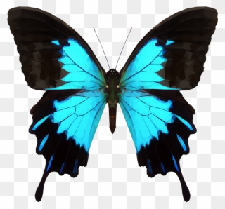 Avatar - Butterfly Png Clipart