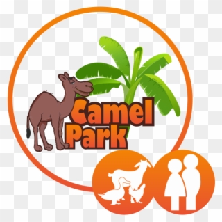 Visit The Farm - Camel Park Clipart