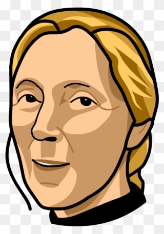 Jane Goodall - Illustration Clipart