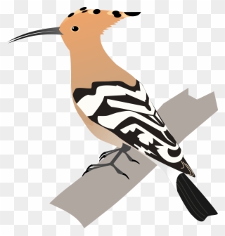 2000px-common Hoopoe - Svg - Hoopoe Bird Animated Clipart
