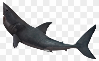 Great White Shark Clipart Invisible Background - Fin Shark Png Transparent Png