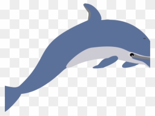 Dolphin Clipart Realistic - Dolphin Clip Art - Png Download