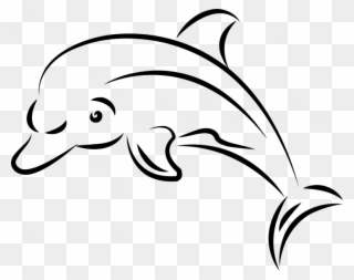 Medium Size Of How To Draw A Sperm Whale Easy Drawing - Clipart Line Art Dolphin - Png Download