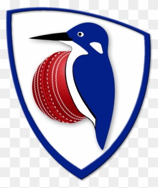 Cricket Clipart Cricket Coach - Cricket - Png Download