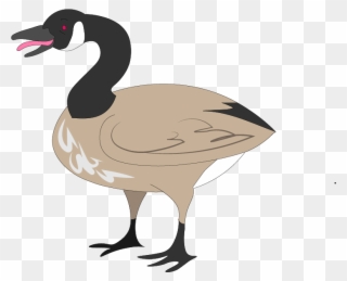 Canada Goose Illustrated For A North By Northwestern Clipart