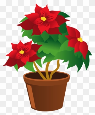 The Altar Guild Invites You To Sponsor Beautiful Poinsettias - Flower Pot Clipart Png Transparent Png