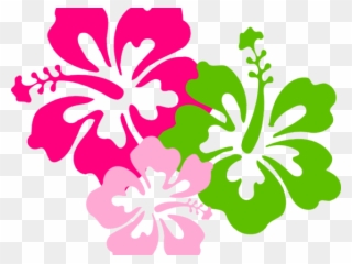 Hibiscus Clipart Colorful - Hawaii Flowers With No Background - Png Download