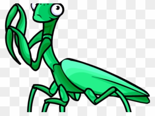 Mantis Clipart Transparent - Mantis - Png Download