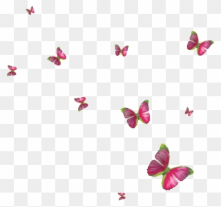 Clipart Butterflies Butterfly Clip Art, Butterflies, - Blue Butterfly Frame Png Transparent Png
