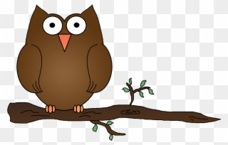 Free Png Owl Clip Art Download Page 9 Pinclipart
