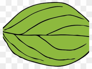 Leaf Clipart Apple Tree - Png Download