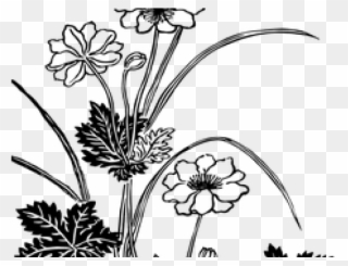 Drawn Vintage Flower Transparent - Spot The Differences Flower Clipart
