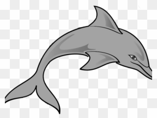 Dolphins Clipart Couple - Transparent Dolphin Clip Art - Png Download