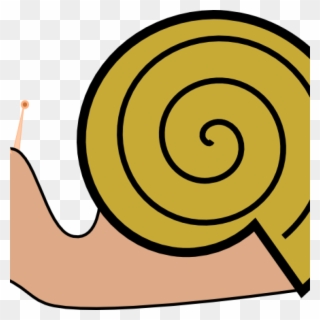 Snail Clipart Pond Snail - Cartoon Snail Shell - Png Download