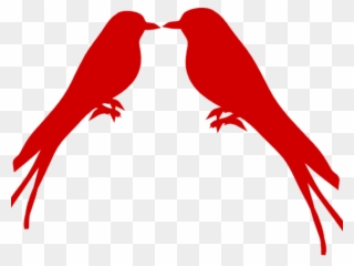 Branch Clipart Love Bird - Clip Art - Png Download