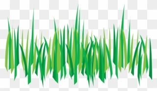 Weed Control Tempe Az - Cartoon Grass Transparent Background Clipart