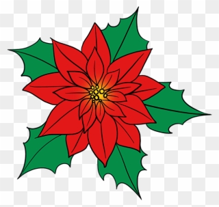 How To Draw Poinsettia - Drawing Of A Poinsettia Flower Clipart