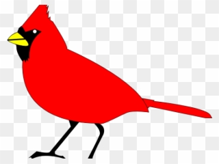Blackbird Clipart Burung Cardinal Clipart Png Download