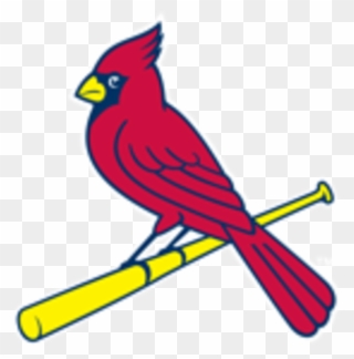 St Louis Cardinals Bird On Bat Clipart