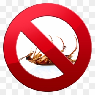Cockroachcontrol - Cucaracha Muerta Patas Arriba Clipart