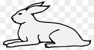 Pdf - Domestic Rabbit Clipart