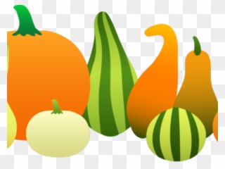 Gourd Clipart Round - Pumpkins And Gourds Clipart - Png Download