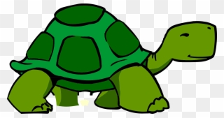 3d Clipart Turtle - Turtle Clipart - Png Download (#112147) - PinClipart