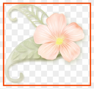 Awesome Pin By Eynasoo On Clipart Clip Art And Of Anthurium - Clip Art - Png Download