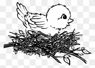 Bird In A Nest Art - Baby Bird In Nest Drawing Clipart