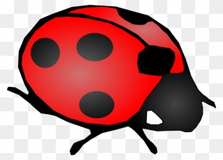 Onlinelabels Clip Art - Ladybird Black And White - Png Download