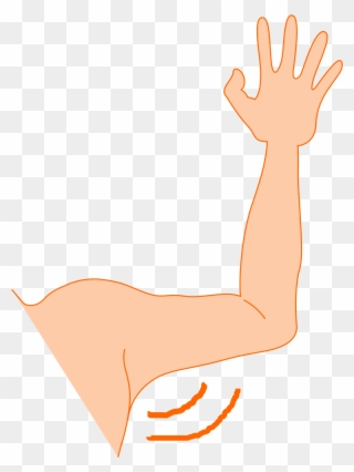 Clipart Arm Pit - Armpit Clipart - Png Download