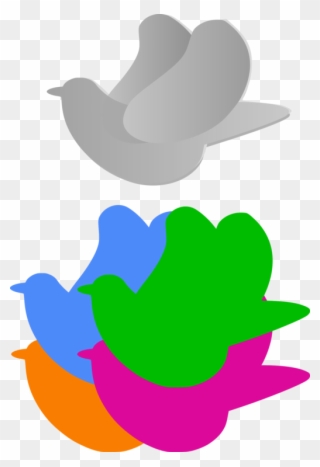 Columbidae Homing Pigeon Bird Racing Homer English - Palomas Animadas De Colores Clipart