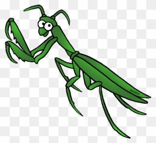 Free United States Clip Art By Phillip Martin, State - Clip Art Praying Mantis - Png Download