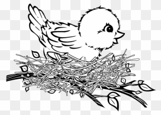 Banner Cartoon Birds Patterns Pinterest - Bird In Nest Clipart - Png Download