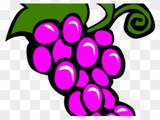 Other Clipart Different Fruit - Bunch Of Grapes Clipart - Png Download