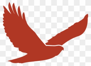 Red Hawk Golf Club - Transparent Red Hawk Logo Clipart