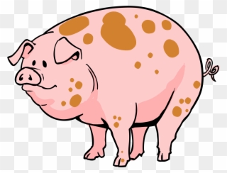 Pig Cartoon - Pig Cartoon Transparent Clipart
