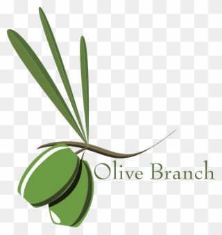 The Branch Environment Olijf Bomen Pinterest - Olive Branch Petition Drawing Clipart