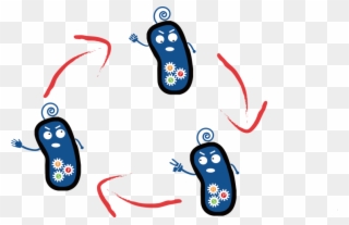 Survival Of One Strain Clipart