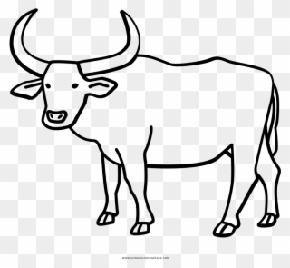 Buffalo Coloring Page With Water Ultra Pages - Drawing Ox Clipart