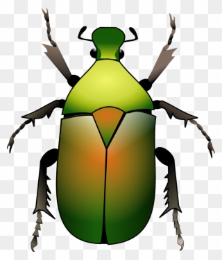 File - Green Beetle - Svg - Beetle Svg Clipart