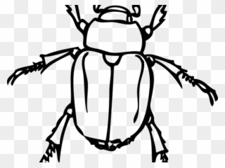 Dung Beetle Clipart Japanese - Insects Black And White - Png Download