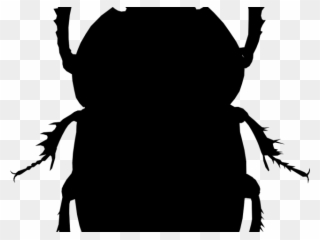 Beetle Clipart Insect Animal - Beetle Silhouette Shower Curtain - Png Download